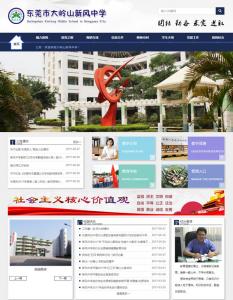  东莞市新风中学网站建设案例